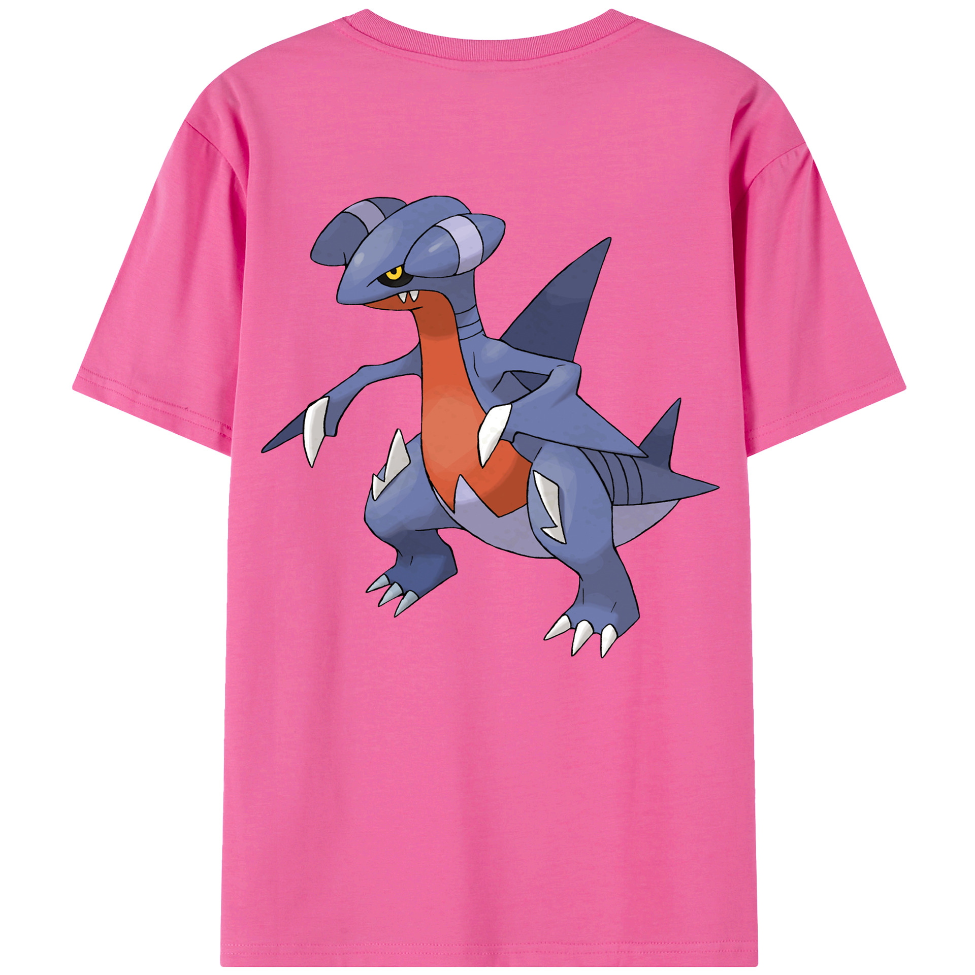 （画像用） ポケットモンスター Pokémon レディース半袖Tシャツ(バックプリント)